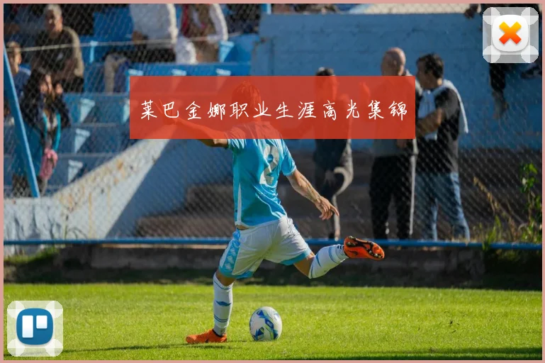 莱巴金娜职业生涯高光集锦