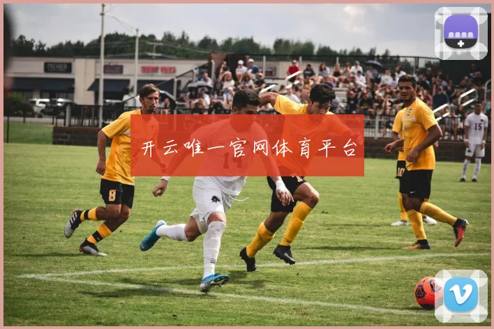 开云唯一官网体育平台