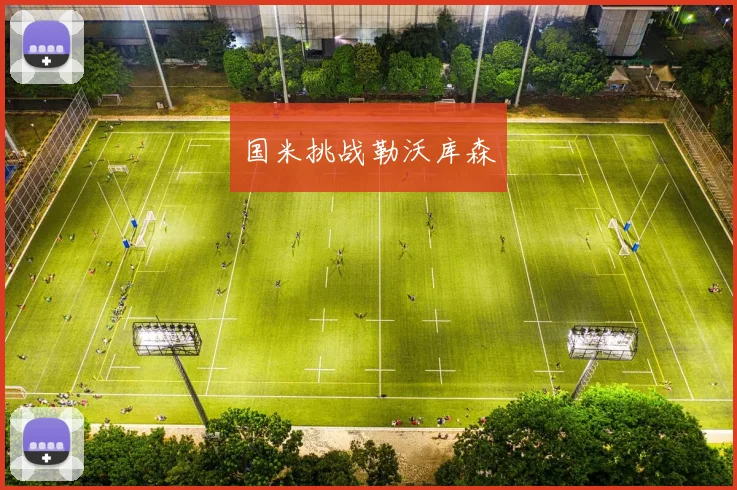 国米挑战勒沃库森