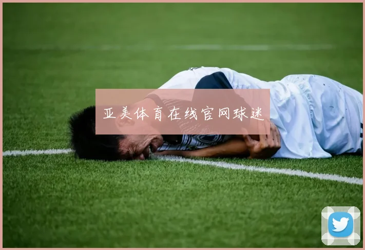 亚美体育在线官网球迷
