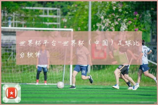 世界杯平台-世界杯（中国）足球比分软件