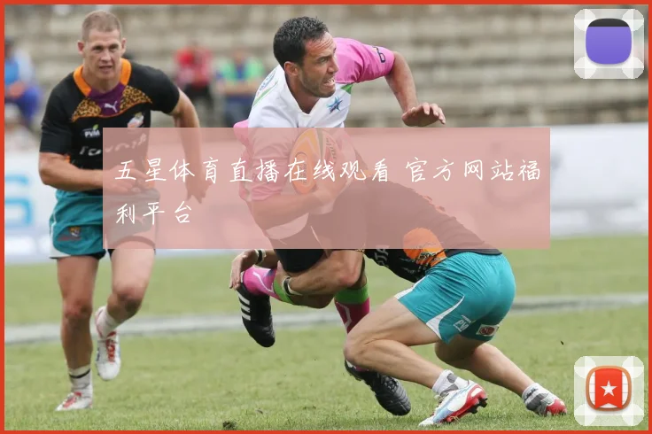 五星体育直播在线观看 官方网站福利平台