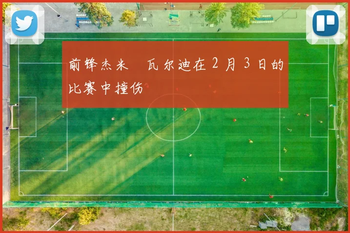 前锋杰米・瓦尔迪在 2 月 3 日的比赛中撞伤