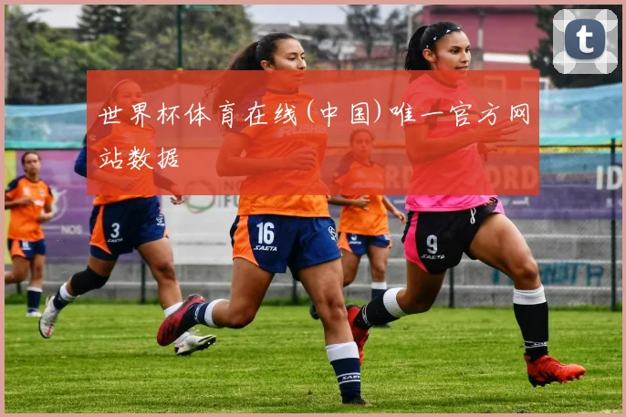 世界杯体育在线(中国)唯一官方网站数据