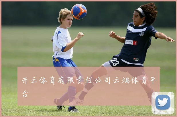 开云体育有限责任公司云端体育平台