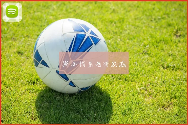 斯洛伐克老将发威