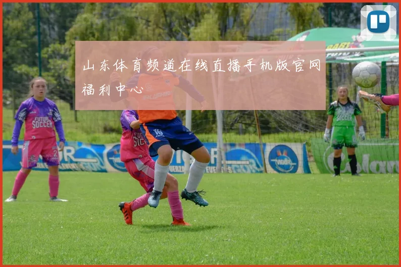 山东体育频道在线直播手机版官网福利中心