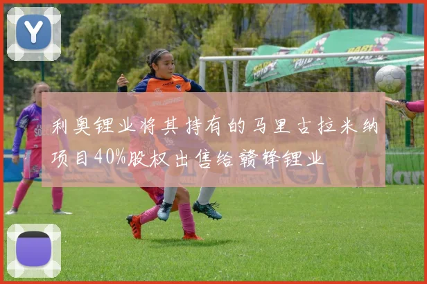 利奥锂业将其持有的马里古拉米纳项目40%股权出售给赣锋锂业