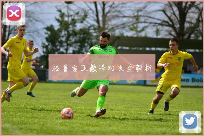 格鲁吉亚巅峰对决全解析