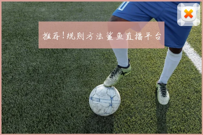 推荐!规则方法鲨鱼直播平台