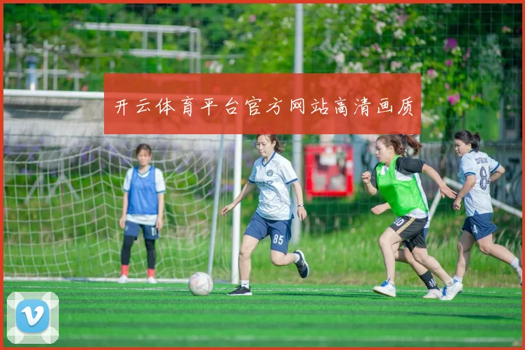 开云体育平台官方网站高清画质