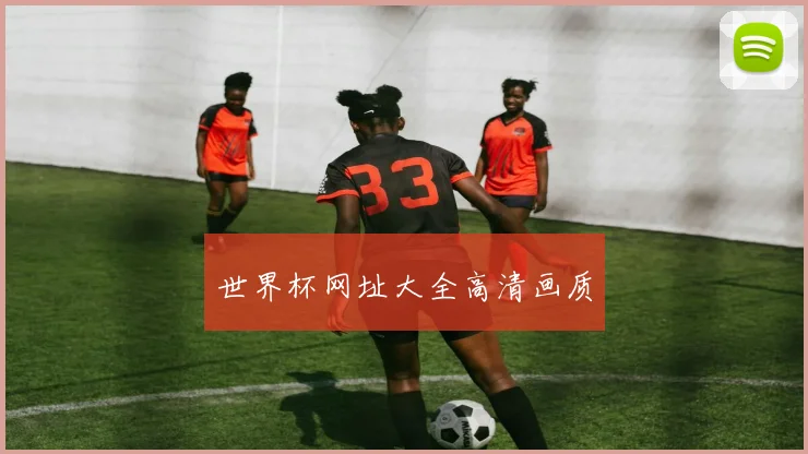 世界杯网址大全高清画质