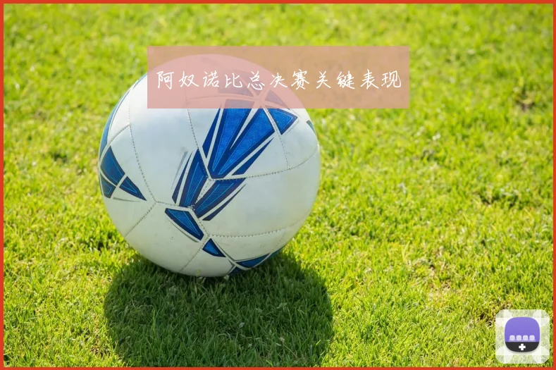 阿奴诺比总决赛关键表现