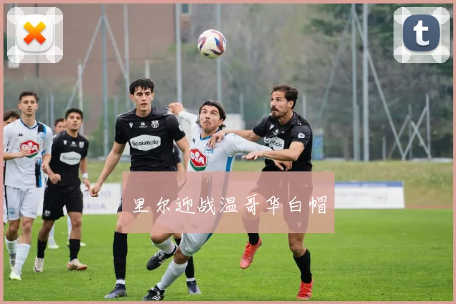 里尔迎战温哥华白帽