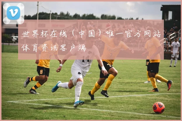 世界杯在线（中国）唯一官方网站体育资讯客户端