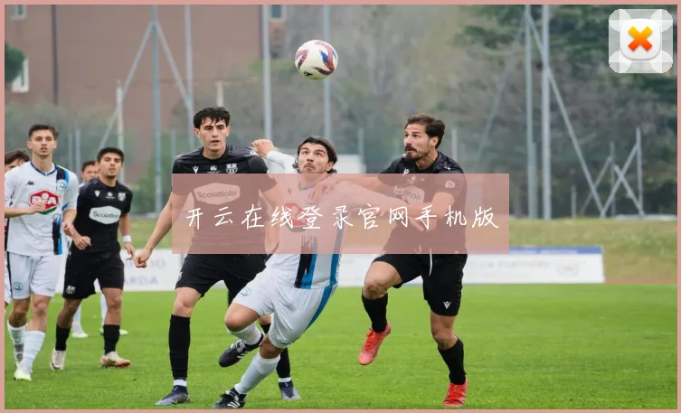开云在线登录官网手机版