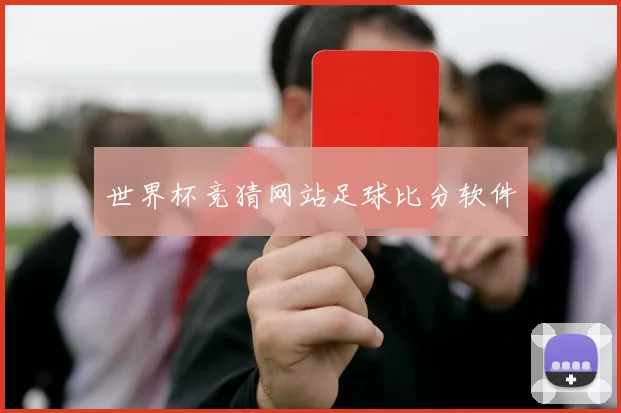 世界杯竞猜网站足球比分软件