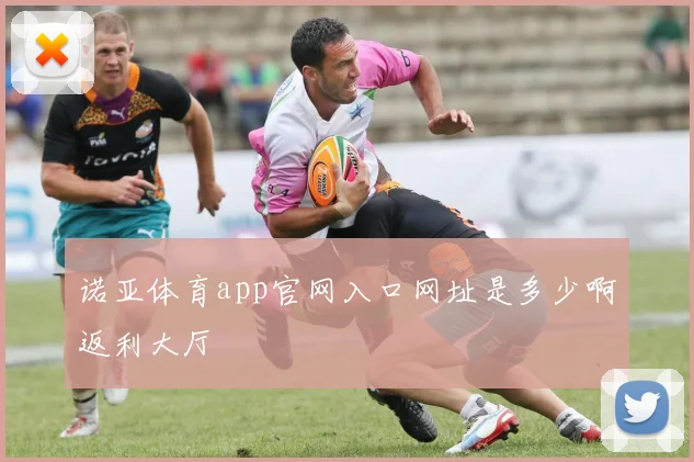 诺亚体育app官网入口网址是多少啊返利大厅