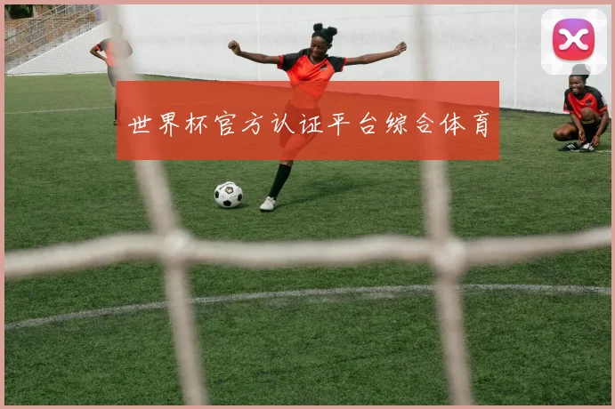 世界杯官方认证平台综合体育