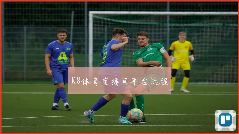 K8体育直播间平台流程