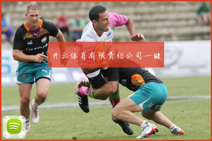 开云体育有限责任公司一键