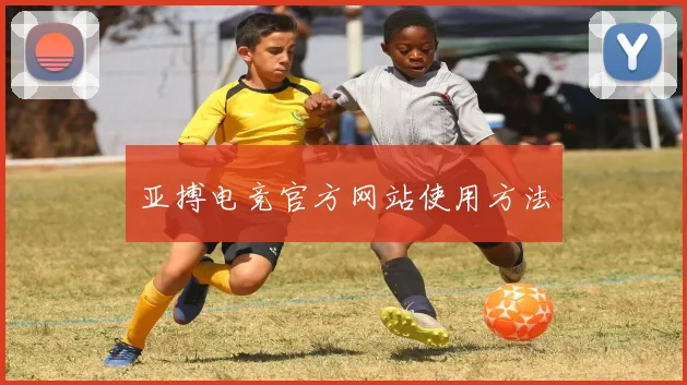 亚搏电竞官方网站使用方法