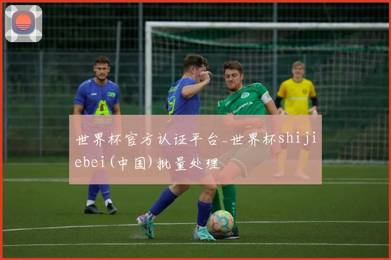 世界杯官方认证平台_世界杯shijiebei(中国)批量处理