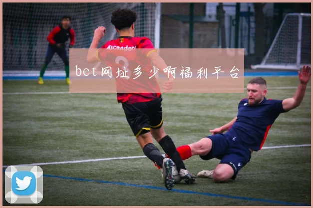 bet网址多少啊福利平台