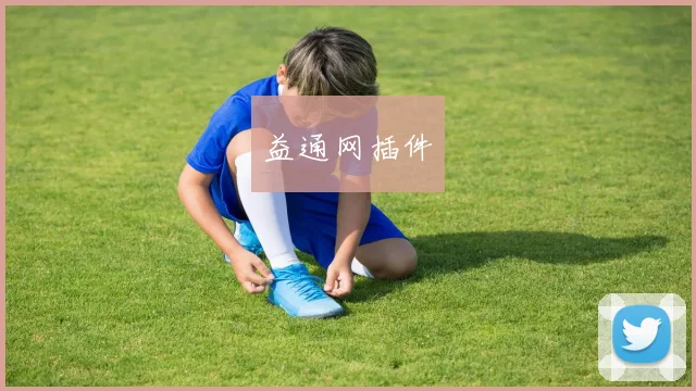 益通网插件