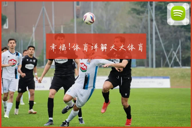幸福!体育详解大大体育