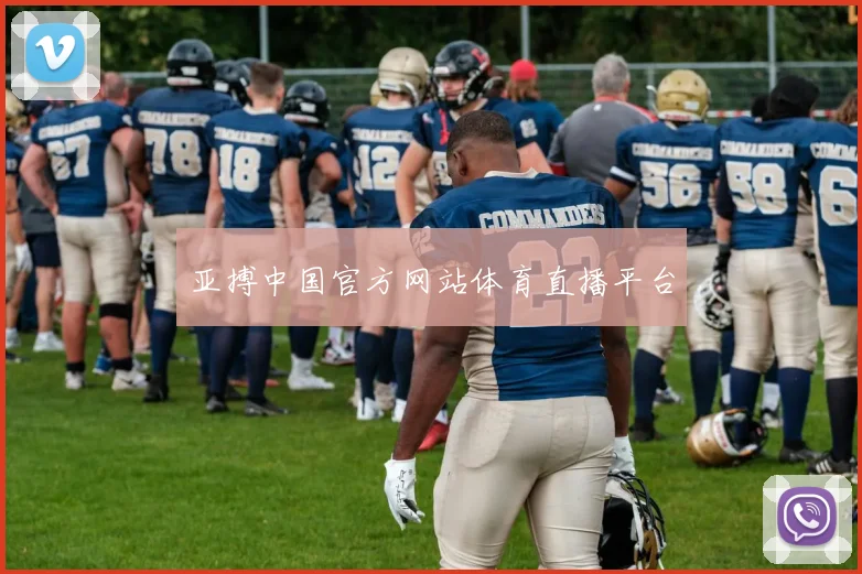 亚搏中国官方网站体育直播平台
