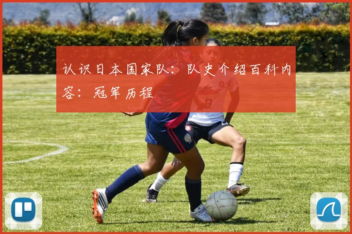 认识日本国家队：队史介绍百科内容：冠军历程