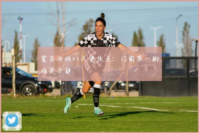 霍芬海姆vs汉堡焦点:门前第一脚谁更冷静