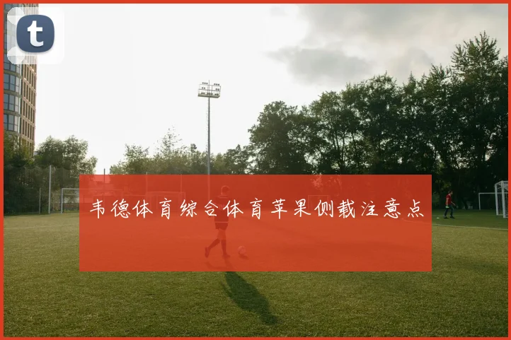 韦德体育综合体育苹果侧载注意点