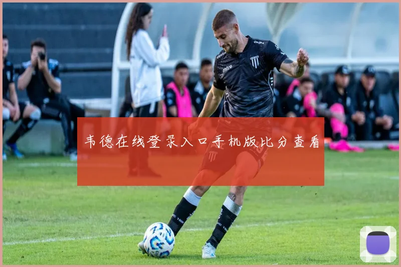 韦德在线登录入口手机版比分查看