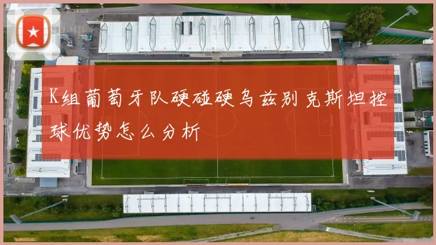 K组葡萄牙队硬碰硬乌兹别克斯坦控球优势怎么分析