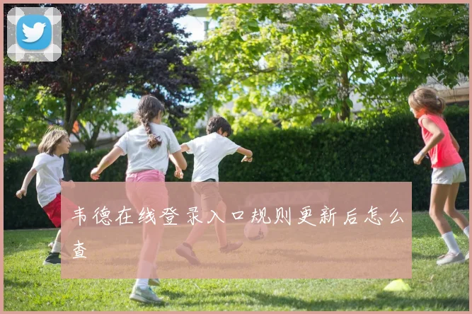 韦德在线登录入口规则更新后怎么查